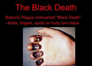 Blog Thumbnail