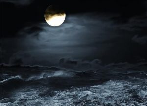 Blog Thumbnail