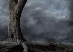 Blog Thumbnail