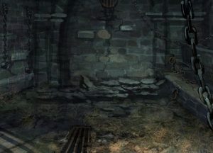 Blog Thumbnail