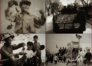 Blog Thumbnail