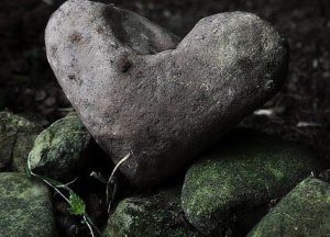 Blog Thumbnail