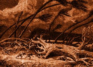 Blog Thumbnail