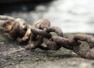 Blog Thumbnail