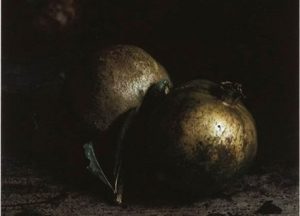 Blog Thumbnail